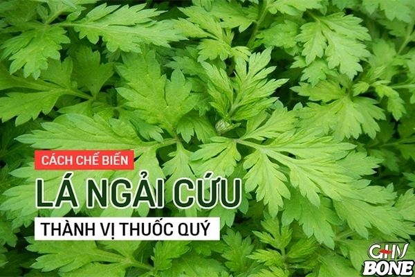 Chữa bệnh thấp khớp bằng các bài thuốc dân gian