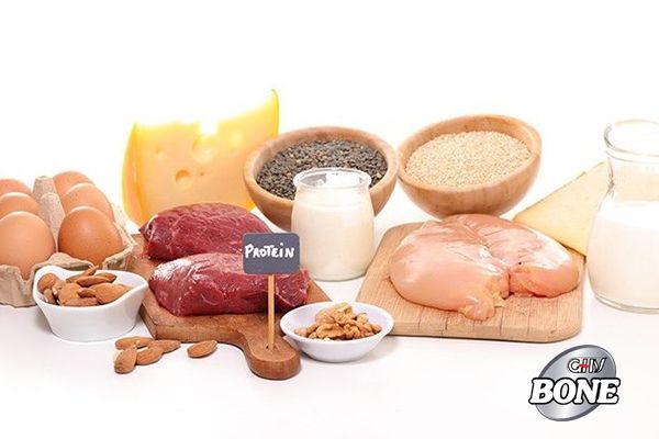 Protein có cả trong thực vật và động vật