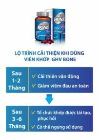 lo-trinh-cai-thien-vien-khop-ghvbone