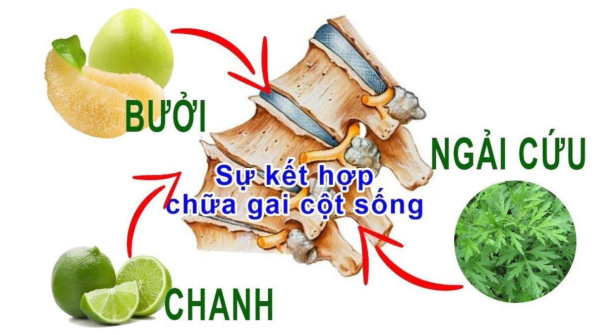 Vỏ bưởi có tác dụng làm giảm cơn đau khi kết hợp với chanh và ngải cứu