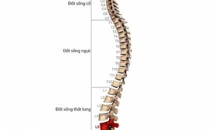 Thông tin bệnh gai đôi cột sống thắt lưng mà bạn không nên bỏ qua