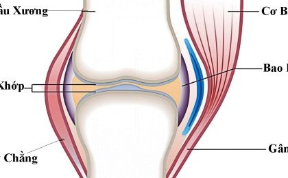 Căn bệnh sụn khớp gối: Nguyên nhân và cách điều trị