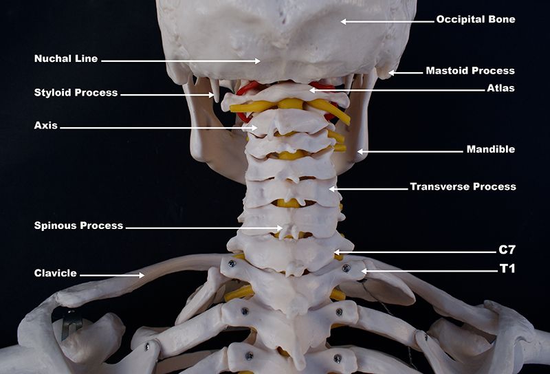 Tỷ lệ mắc thoái hóa khớp cổ đang có xu hướng trẻ hóa