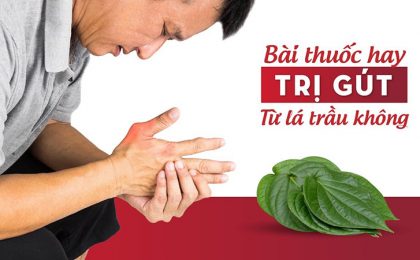 Các bài thuốc chữa gút hiệu quả, an toàn ít người biết