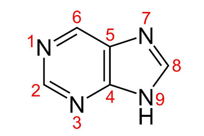 thuc-pham-giau-purin-1